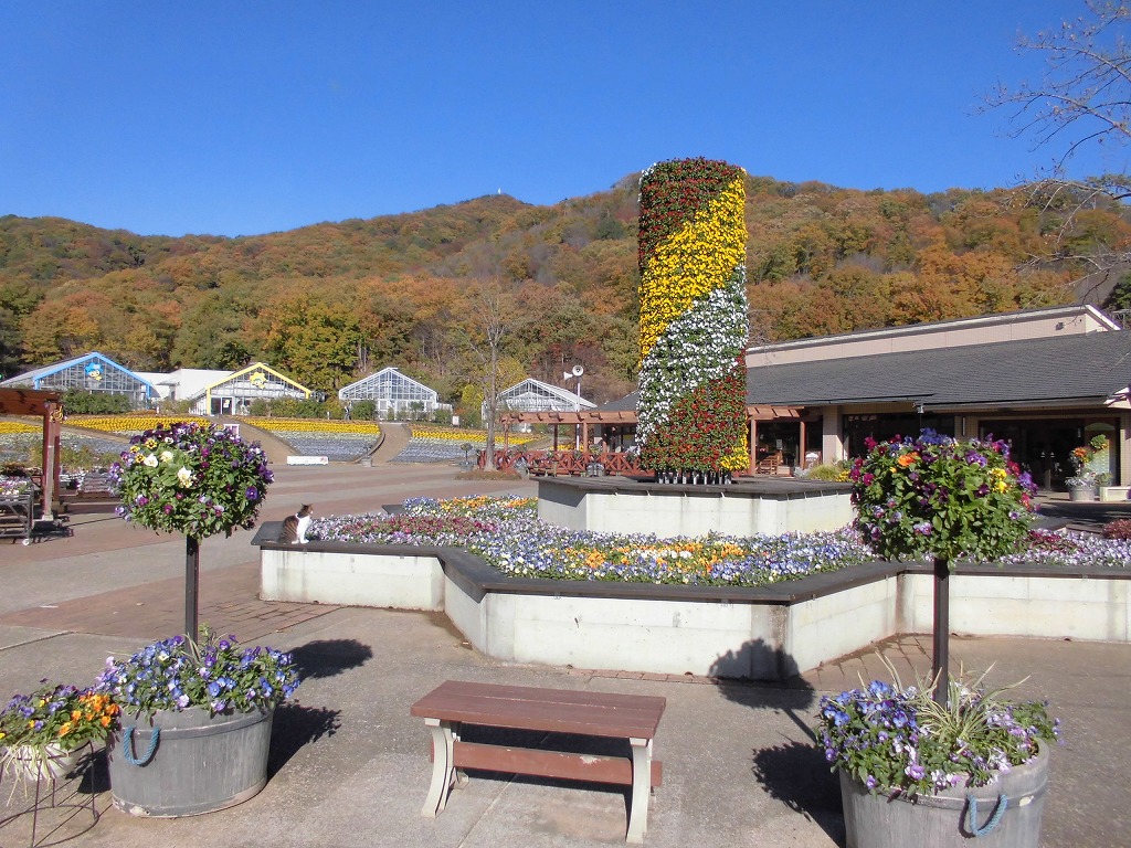 青い空としままる店長とフラワータワー とちぎ花センター