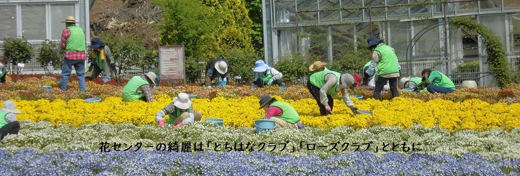 トップページ とちぎ花センター